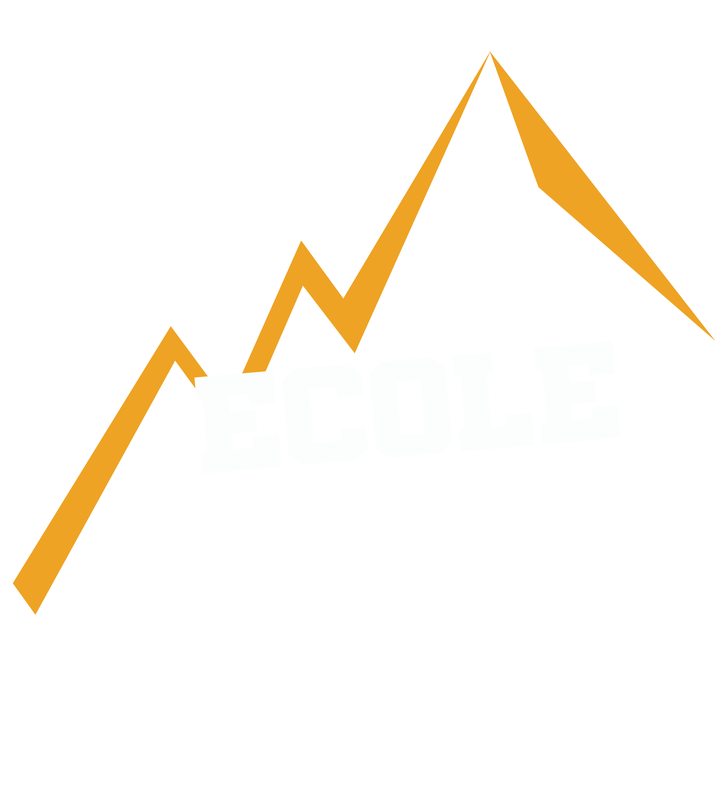 Logo ecol%20de%20tail